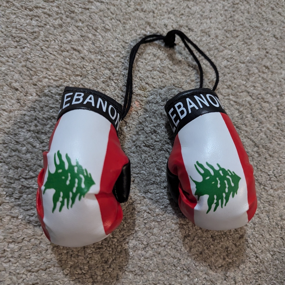 Lebanon Flag Boxing Gloves
